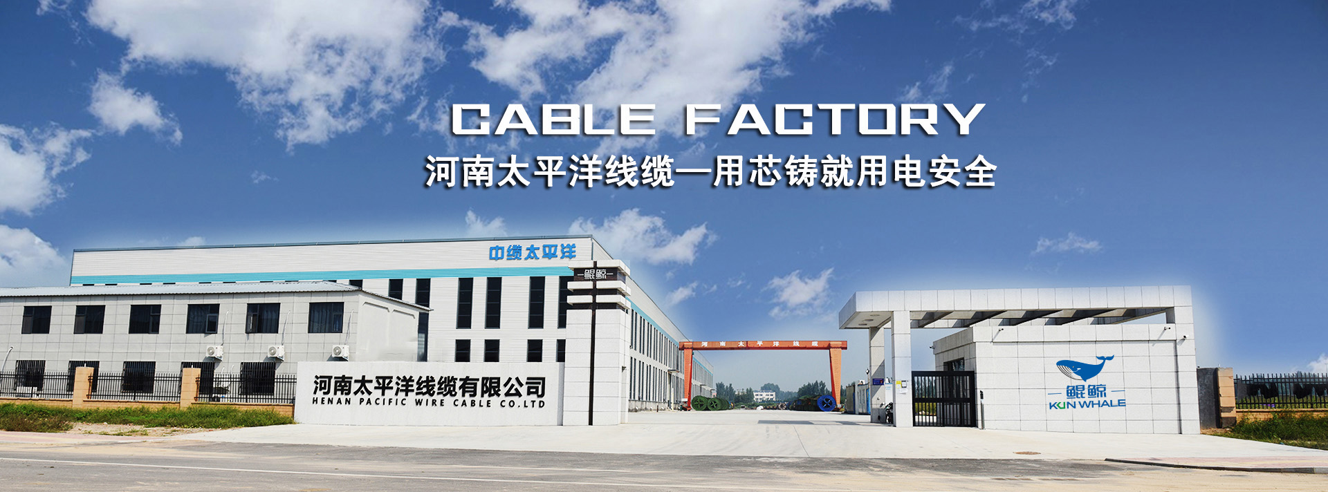 河南太平洋線纜